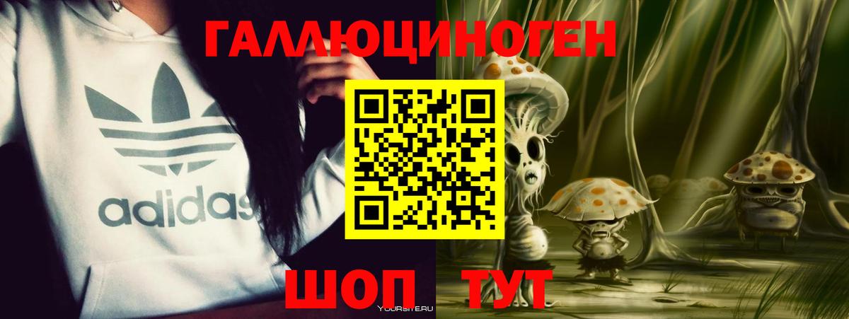 Псилоцибиновые грибы GOLDEN TEACHER  Вход с VPN  Касимов 
